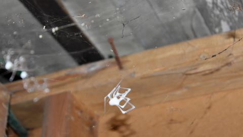 Teenage Nostalgia - 29906982010_544ab5b99a_o.jpg