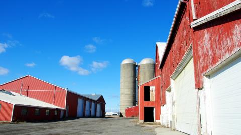 Soddin' Shame - compact-sod-complex_13985479629_o.jpg