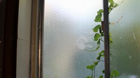 Teenage Nostalgia - 29906985730_3a4b5b92e0_o.jpg