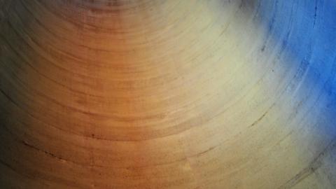 Soddin' Shame - compact-sod-complex_14169439792_o.jpg