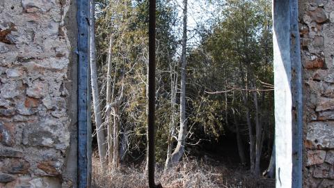 Kiddie Kars - DSC_0150.JPG