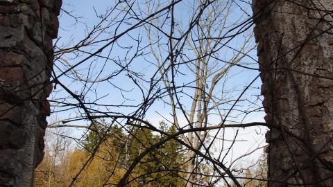 Photo from Kiddie Kars