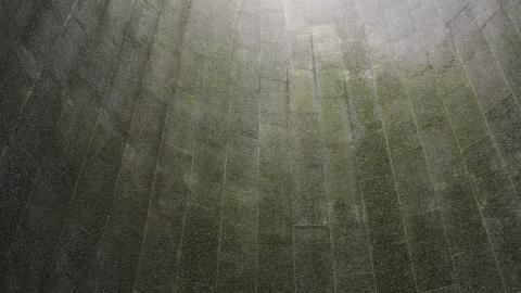 Photo from Randall Farm