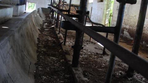 Randall Farm - randall-farm_13970679489_o.jpg