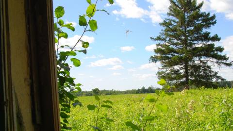 Photo from Randall Farm