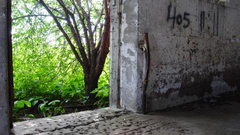 Photo from Randall Farm