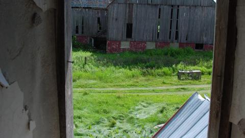 Randall Farm - randall-farm_14134164036_o.jpg