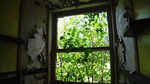 Randall Farm - randall-farm_14154534102_o.jpg