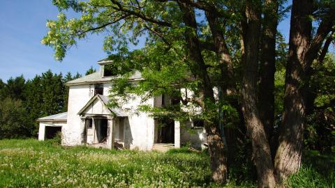 Randall Farm - randall-farm_14154537812_o.jpg