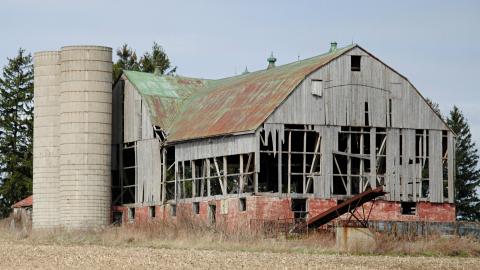 Photo from Randall Farm