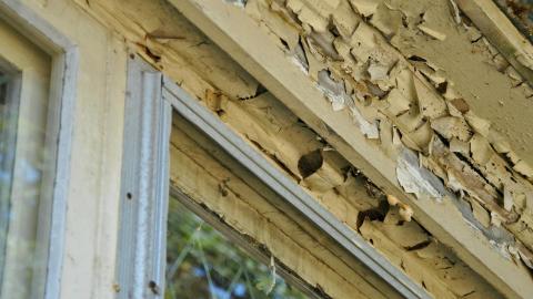 Old Red - old-red_14163893672_o.jpg