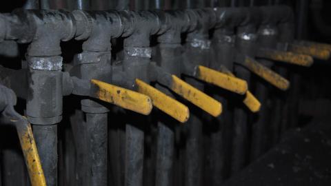 Crowe 2011 - DSC_0282.JPG