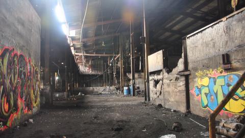 Crowe 2011 - DSC_0596.JPG