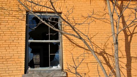 Photo from Rebecca Road Farm