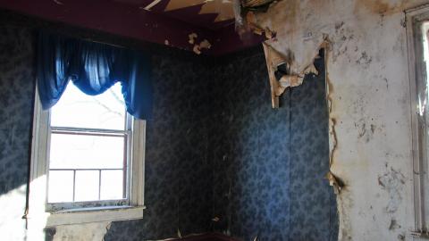 Photo from Rebecca Road Farm