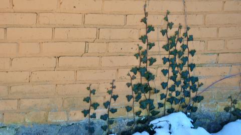 Rebecca Road Farm - rebecca-road_14168591591_o.jpg