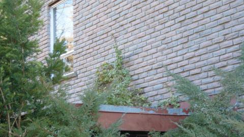 Photo from This Place Sux