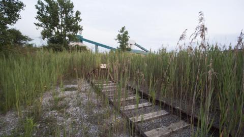 One Off The Bucket List - July 2017 - DSC_0229.jpg