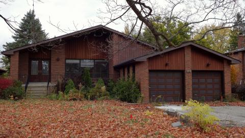 June & Oct '20 - DSC01561.JPG