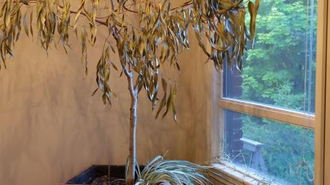 June & Oct '20 - DSC01575.JPG