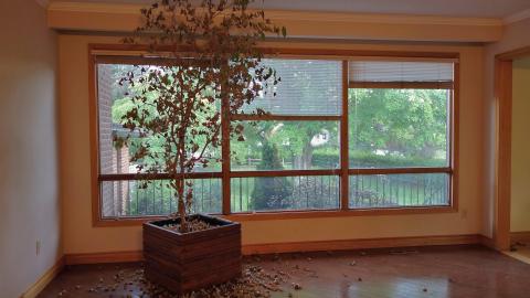 June & Oct '20 - DSC01578.JPG