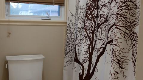 Photo from June & Oct '20