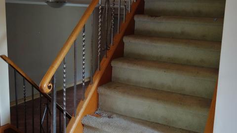 June & Oct '20 - DSC01589.JPG