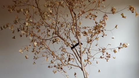 June & Oct '20 - DSC01591.JPG