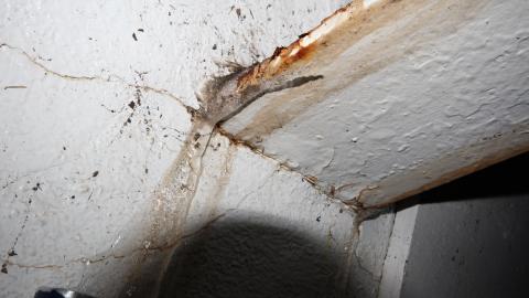 Standing Grand - IMG_8458.JPG