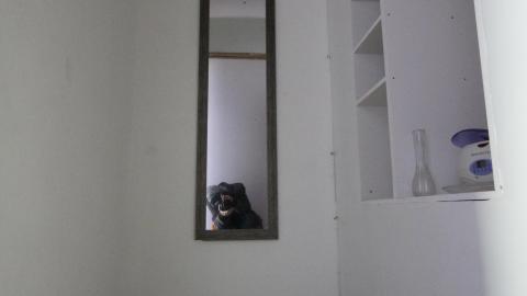 I Was Too Late, But Not TOO Late. Ya Know. 1870's-2021. - IMG_8597.JPG