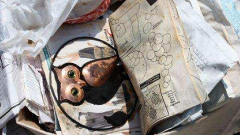 Gallery - 1921-Lakeshore-Rd-Wesleyville5.jpg