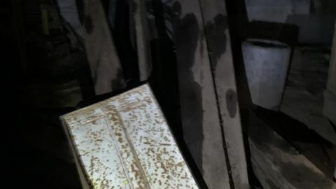 Builder's Workshop 8 years later - IMG_1750.JPG