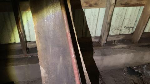 Builder's Workshop 8 years later - IMG_1752.JPG