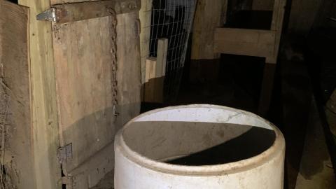 Builder's Workshop 8 years later - IMG_1759.JPG