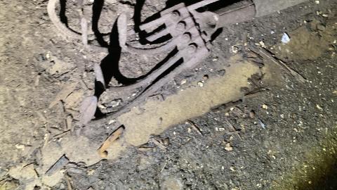 Builder's Workshop 8 years later - IMG_1767.JPG