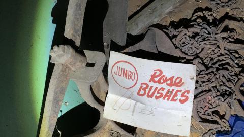 Builder's Workshop 8 years later - IMG_1785.JPG