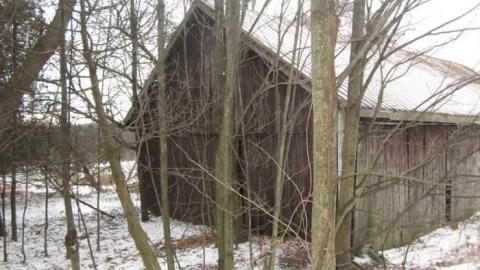 Snowball Outbuildings - Dufferin-St.-House-(Snowball)30.jpg