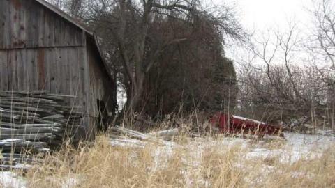 Snowball Outbuildings - Dufferin-St.-House-(Snowball)38.jpg