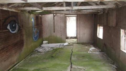 Snowball Outbuildings - Dufferin-St.-House-(Snowball)33.jpg