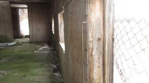 Snowball Outbuildings - Dufferin-St.-House-(Snowball)41.jpg