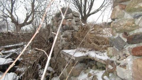 Snowball Outbuildings - Dufferin-St.-House-(Snowball)43.jpg