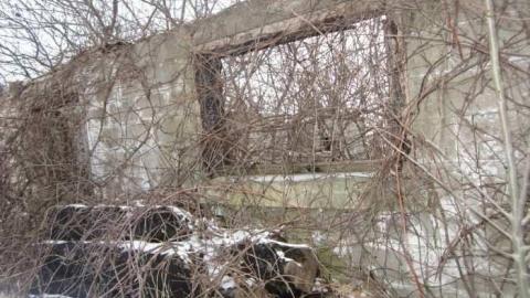 Snowball Outbuildings - Dufferin-St.-House-(Snowball)36.jpg