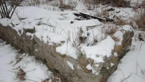 Snowball Outbuildings - Dufferin-St.-House-(Snowball)44.jpg