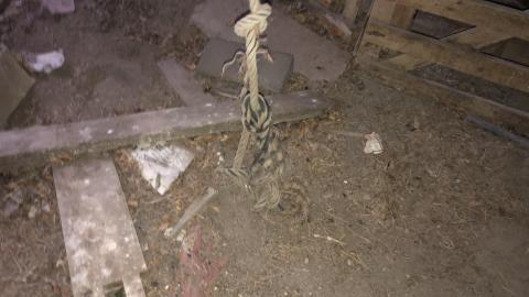 The Barn - E063D14F-C05F-4115-92E5-CF7F9AC7A3DC.jpeg