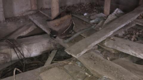 The Barn - 884414D0-B081-4357-8801-36C048681C8A.jpeg