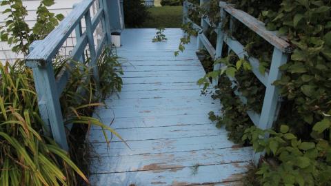 Carpenter Gothic SEPT 2020 - IMG_4793.JPG