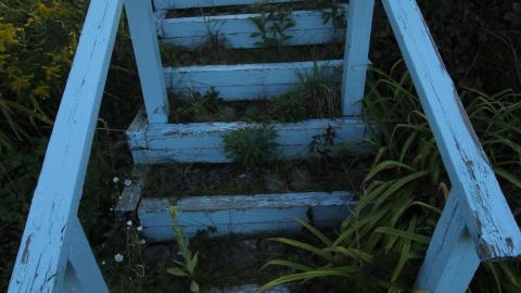 Carpenter Gothic SEPT 2020 - IMG_4790.JPG