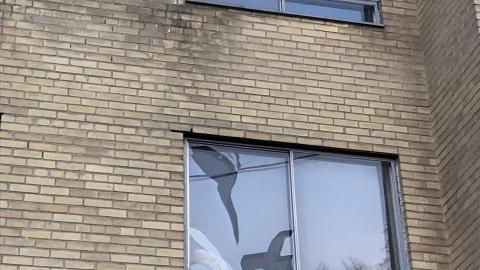 Photo from March 2021