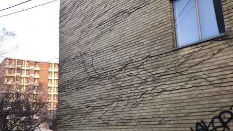 March 2021 - 8D94C231-7AC5-4B5B-8668-5C07053805EF.jpeg