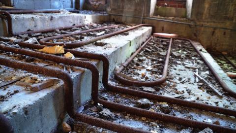 Summer of 2019 - 841.JPG